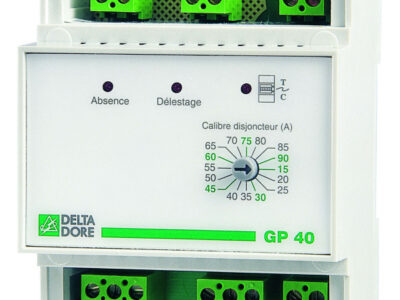 DELESTEUR GP40 TOUT COMPTEUR 6100023